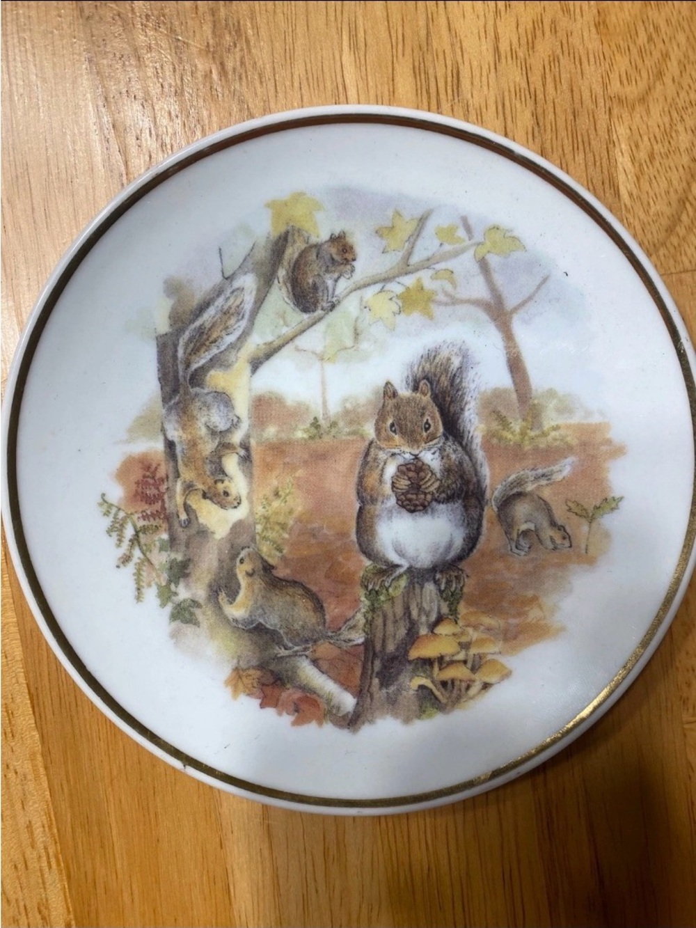 Reader’s Digest Wildlife of Britain Plate Set (4) – Susan Beresford, 15 cm